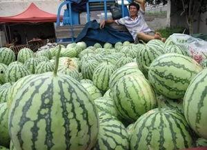 极速流吃瓜群众,揭秘娱乐圈幕后风云