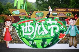 建德吃瓜群众事件,网络舆论下的社会现象解析