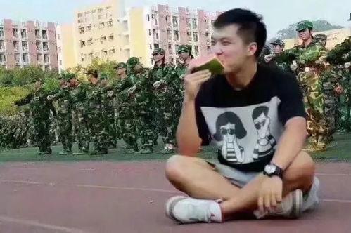 斗鱼阿科吃瓜群众,吃瓜群众眼中的直播风云