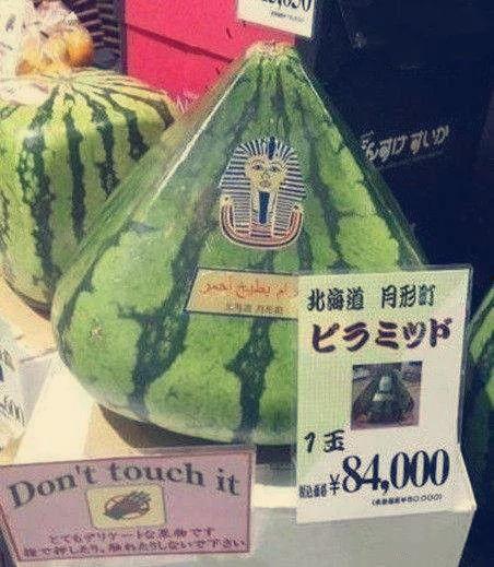 盘点最强吃瓜群众是谁,揭秘瓜界传奇人物