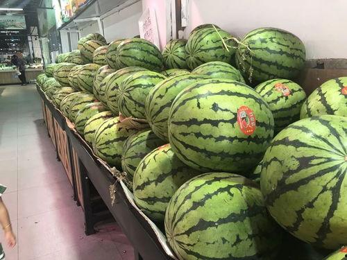 立秋吃瓜群众视频,跟随“吃瓜群众”探寻立秋习俗