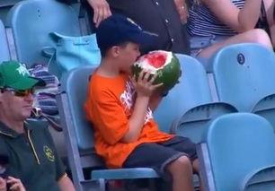 吃瓜群众点了根烟,揭秘吃瓜群众的心声与烟圈里的秘密